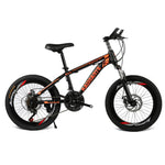 20 inch mountain bike