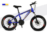 20 inch mountain bike - forbicycle
