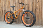 New mountain bike 4.0 fat - forbicycle