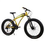New 4.0 fat tire mountain bike