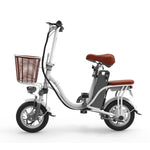12 inch lithium battery electric bike
