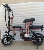 2020 new 12 inch electric bicycle - forbicycle