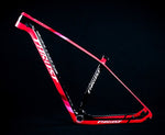 BOB Carbon mtb Frame - forbicycle